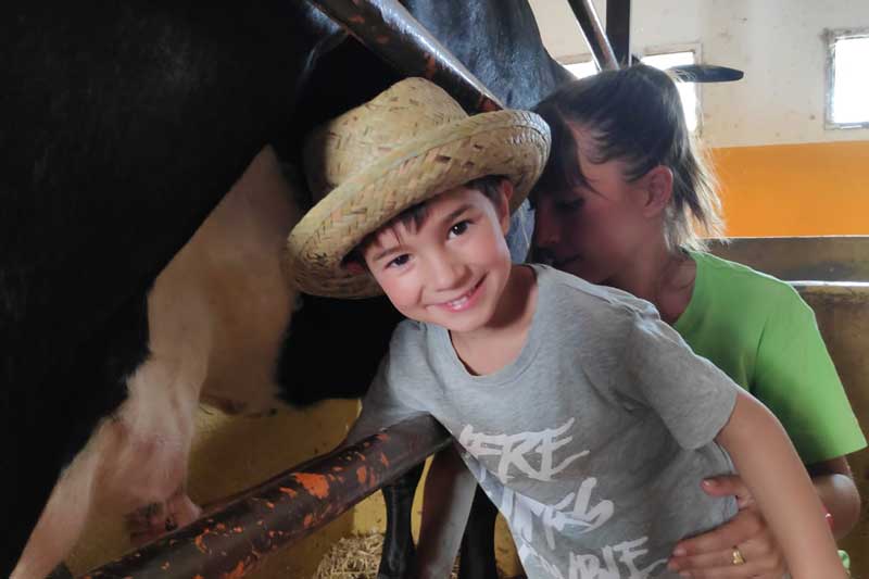 planificación actividades escolares