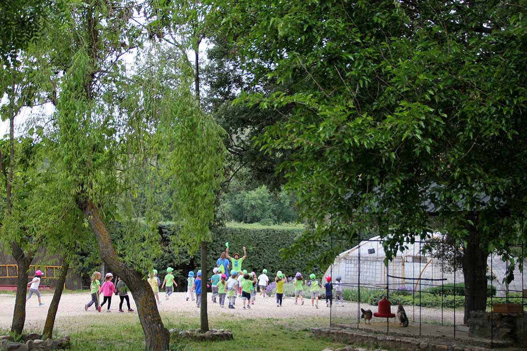 planificación actividades escolares