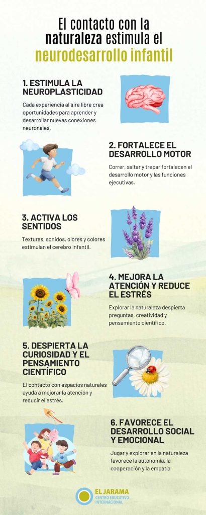 neurodesarrollo-infantil