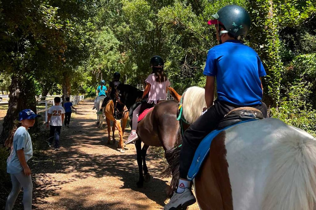 campamento y vuelta al colegio