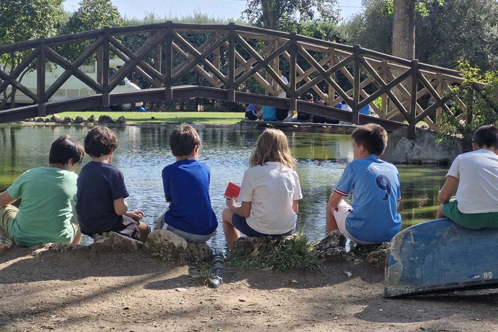 campamento y vuelta al colegio