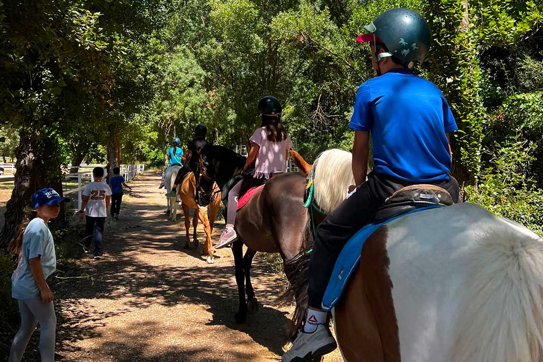 campamento y vuelta al colegio