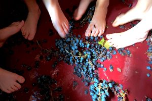 experiencias naturaleza para niños