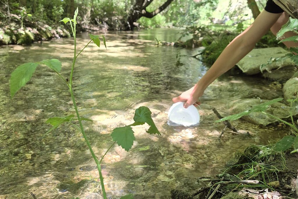 matemáticas en la naturaleza
