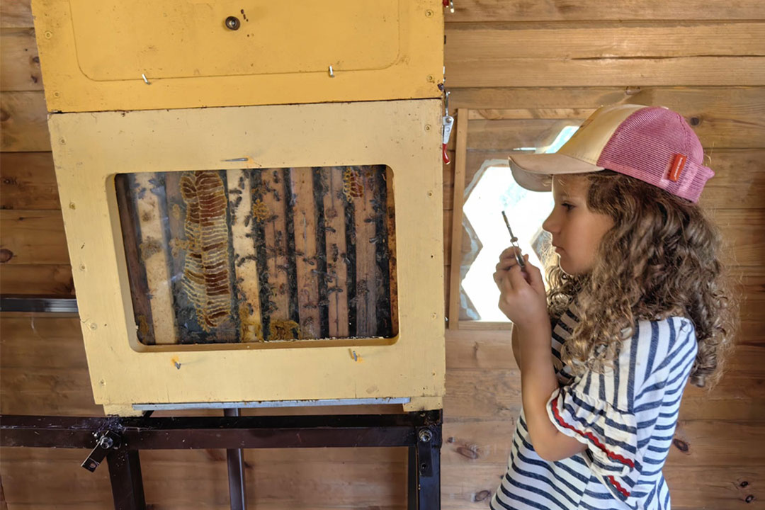 creatividad infantil